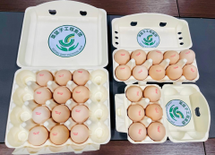 别让“坏蛋”拖垮你的健康——一场由国企激发